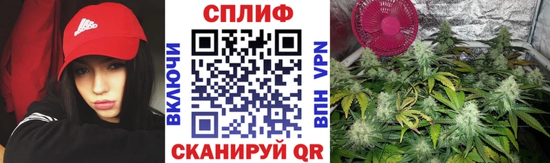 Все наркотики Наволоки АМФ  Мефедрон  ГАШИШ  Alpha-PVP  Канабис  COCAIN 
