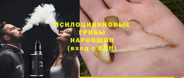 дурь Балахна