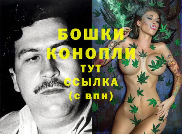 бутират Баксан
