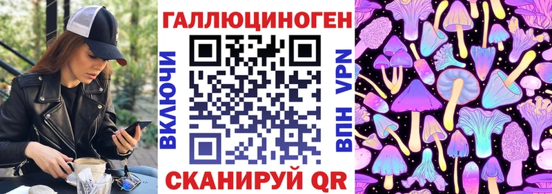 Галлюциногенные грибы Psilocybine cubensis  Наволоки 